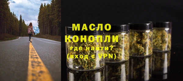 мдпв Богородск