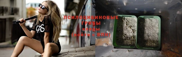 мдпв Богородск