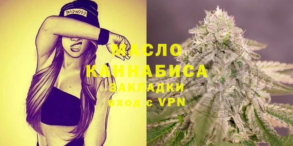 мдпв Богородск
