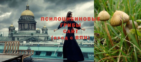 кокаин перу Богданович